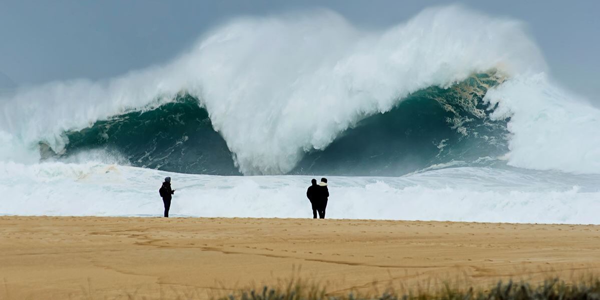 stb_web_wave-ref_v001